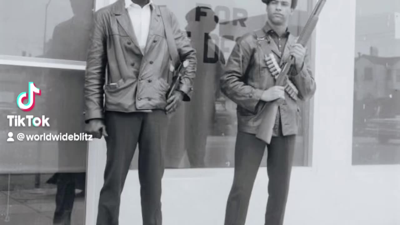 Black Panther Party CointelPro Conspiracy 👁️