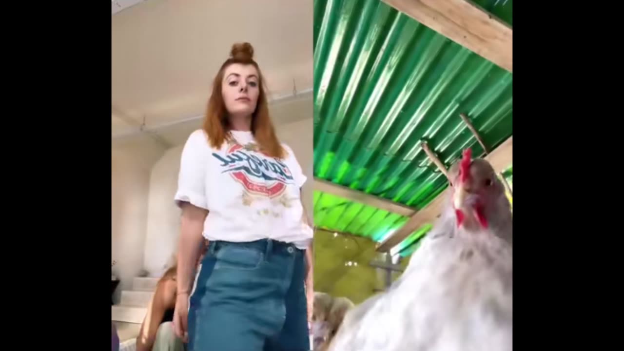Best Unusual Video & Memes Compilation #73 ylyl 2023