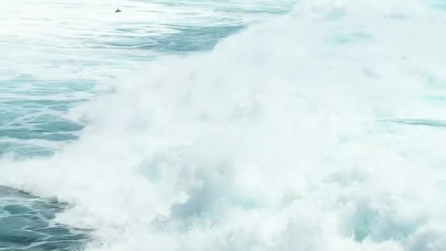 Lukas Rodriguez