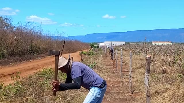 COMO É FEITO UMA CERCA DE ARAME FARPADO | RAIZES DO REI | BRASIL BR