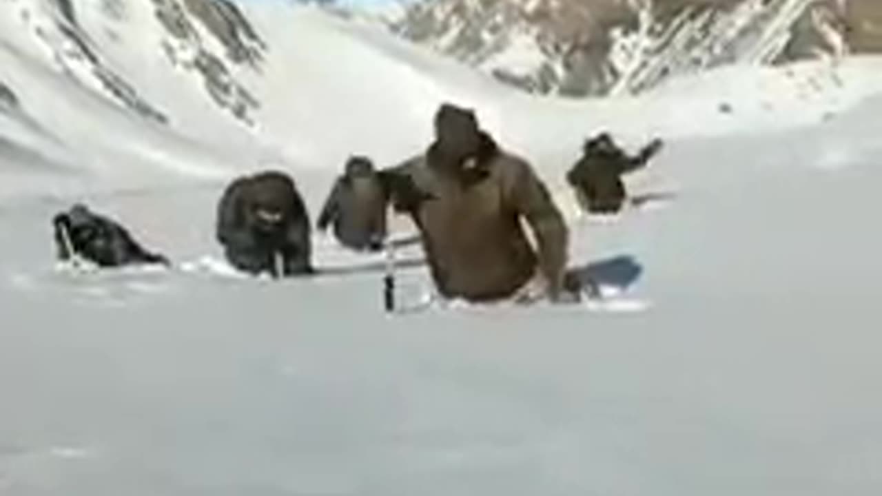 Salute to army
