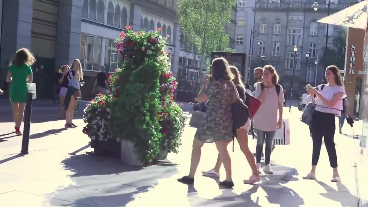 Scaring People with Bushman Prank: Laughy Startles