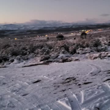 These dear are eating the chicken feed!!!