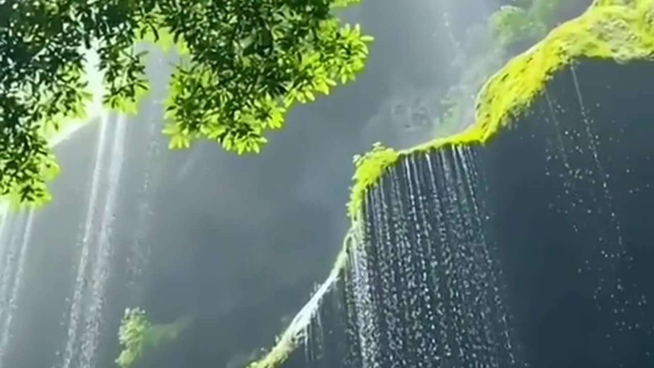 Beauty