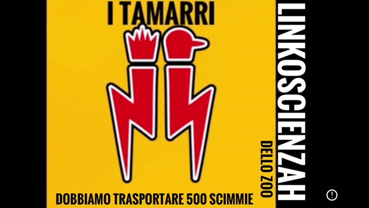 I Tamarri vogliono trasportare 500 scimmie dalla Romania all'Italia