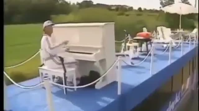 All funny and amazing video's 😂