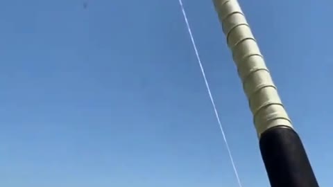 This is a beautiful and charming water-dwelling species