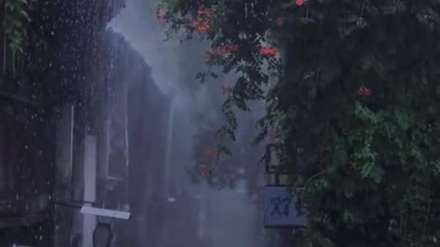 rainy days always remind something