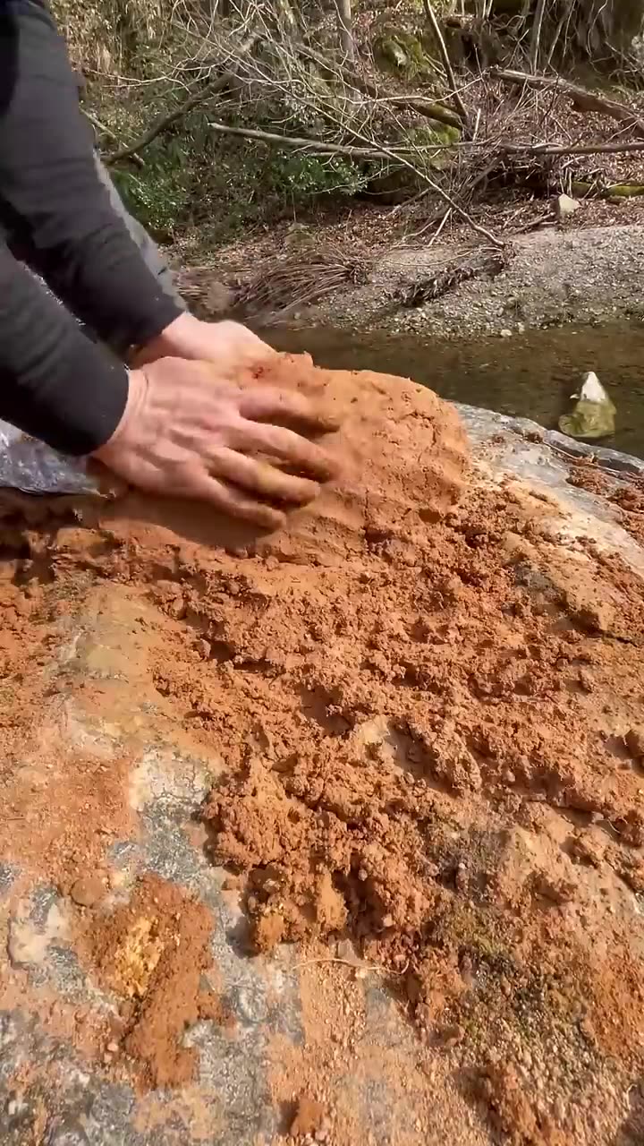 Primitive methods for cooking carp fish in mud
