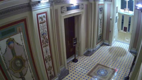 0689USCS01SenateFireDoornearS132_2021-01-05_00h20min01s053ms.mp4