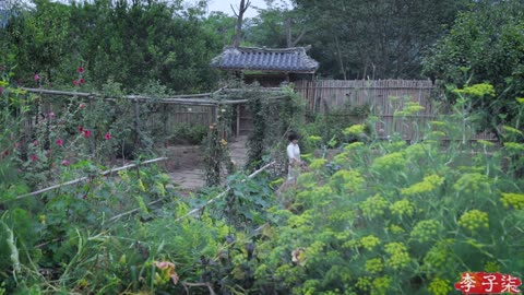 Refreshing and delicious, a well-known player in the cold dish industry - shoot cucumbers