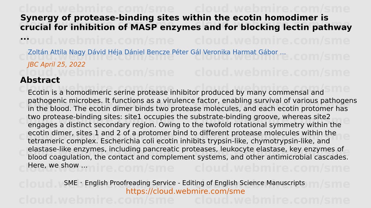 ScioBio ･ Synergy of protease-binding sites within the ecotin homodimer is crucial for inhibition of