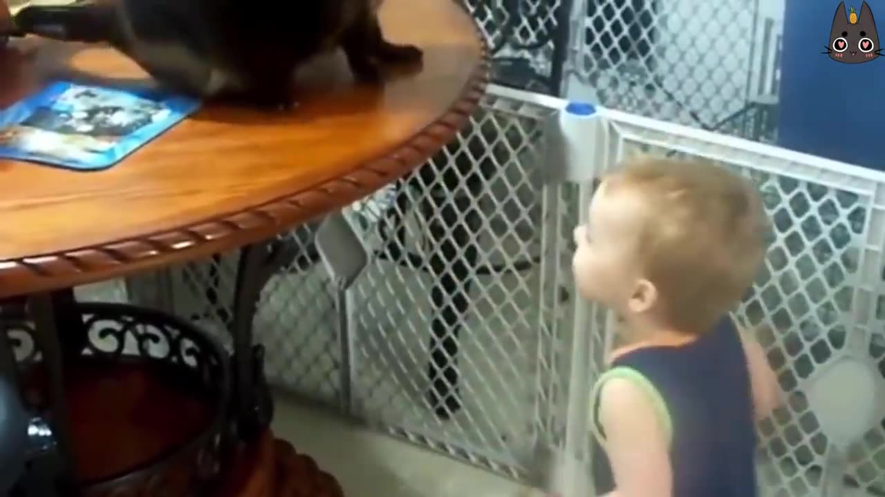 Cats vs kids