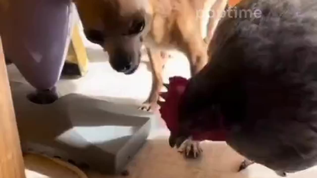 When Someone Eats Your Food