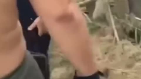 U.S. Southern Border Invasion.