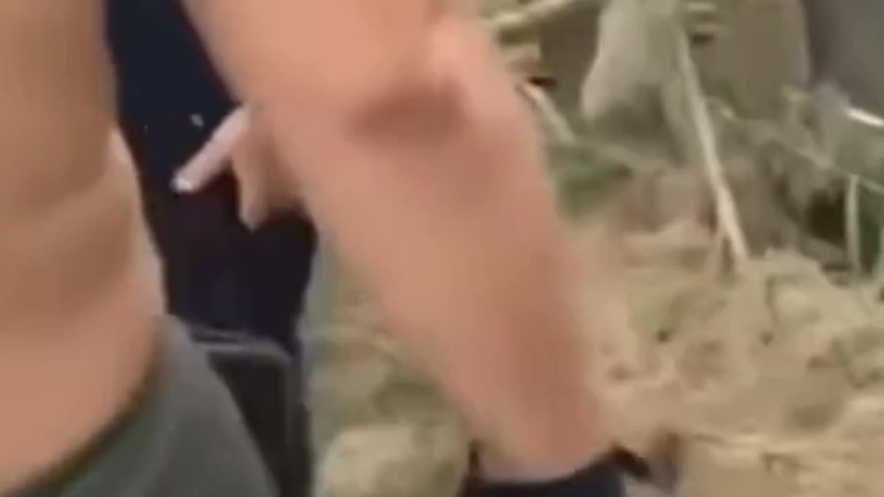 U.S. Southern Border Invasion.