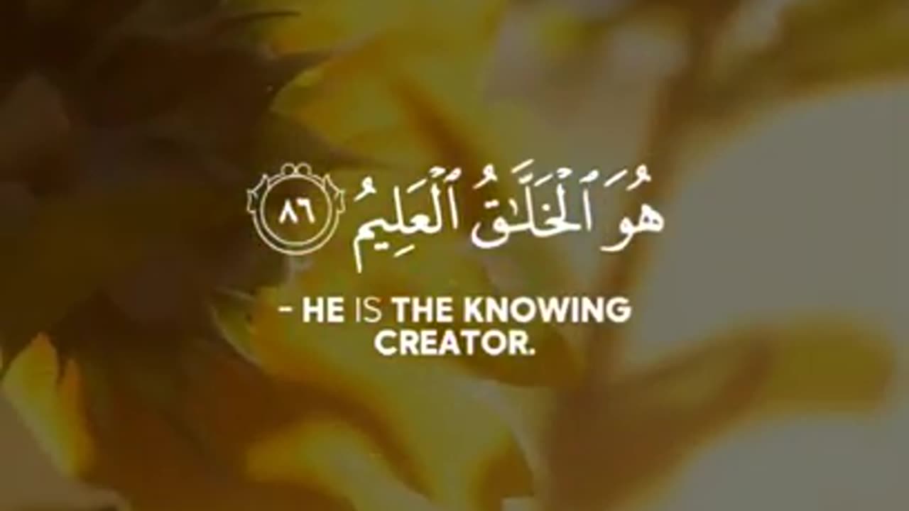 Hazza Al Balushi - Quran Tilawat - Islamic WhatsApp status - Beautiful Quran recitation