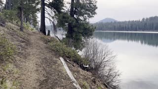 GORGEOUS Lakeshore Hiking – Suttle Lake – Central Oregon – 4K