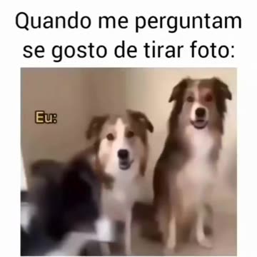 Eu não gosto de tirar fotos.