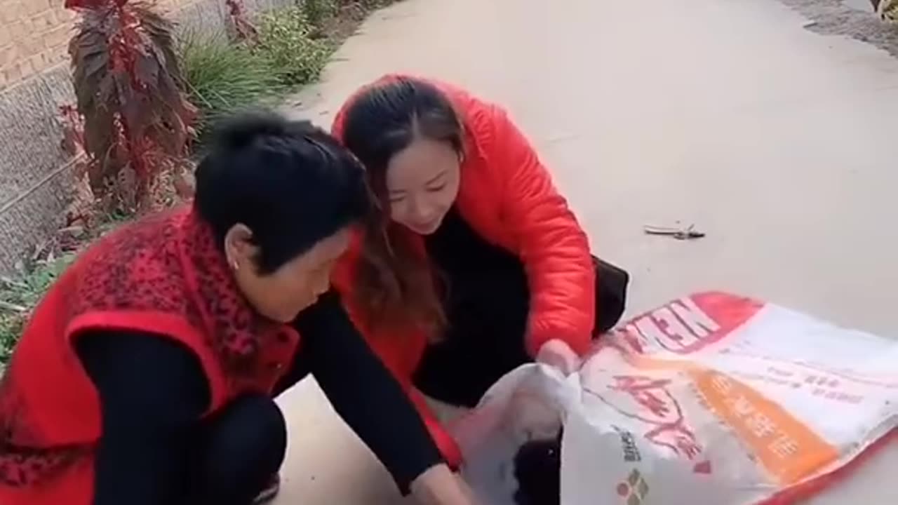Best Funny Videos 2022, Chinese Funny clips daily #shorts