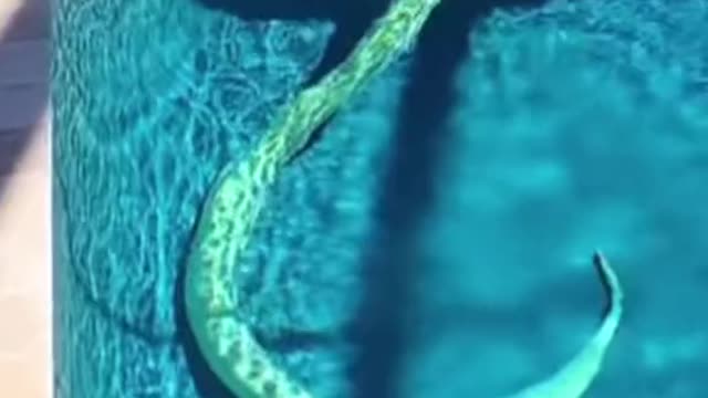 Imagine waking up and finding this 😱