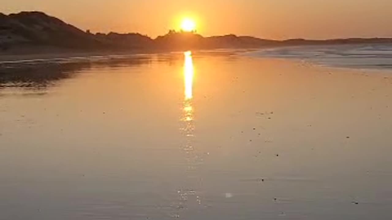 Vídeo 8