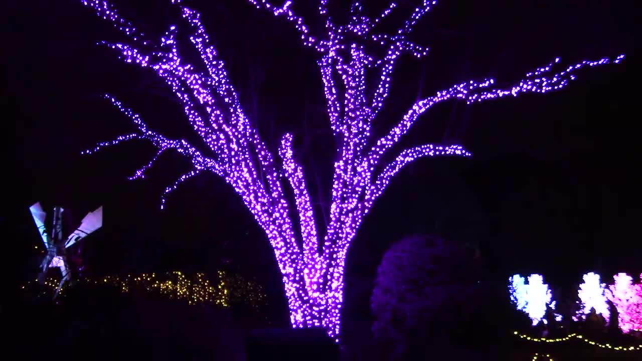 ATLANTA BOTANICAL GARDEN | CHRISTMAS LIGHTS | JESSMONI | TUSKEGEE TELEVISION NETWORK