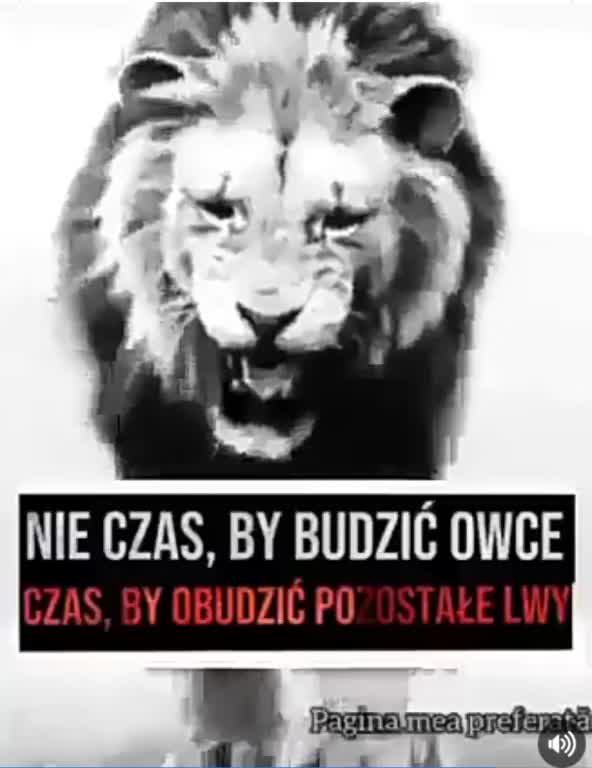 nie czas by budzić owce. Czas, by budzić pozostałe lwy