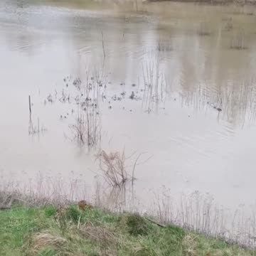 Ukrainian BTR 4 Crossing a River
