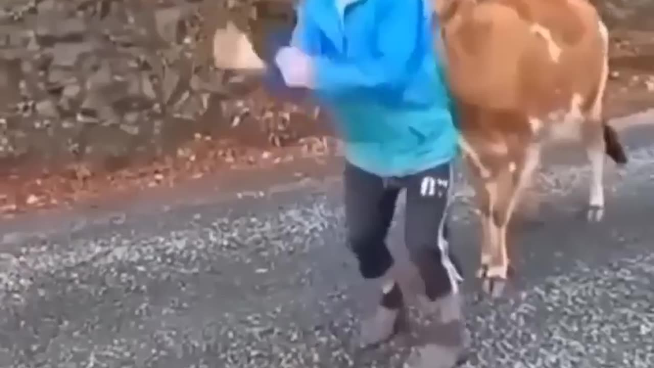 😆so funny videos 😆
