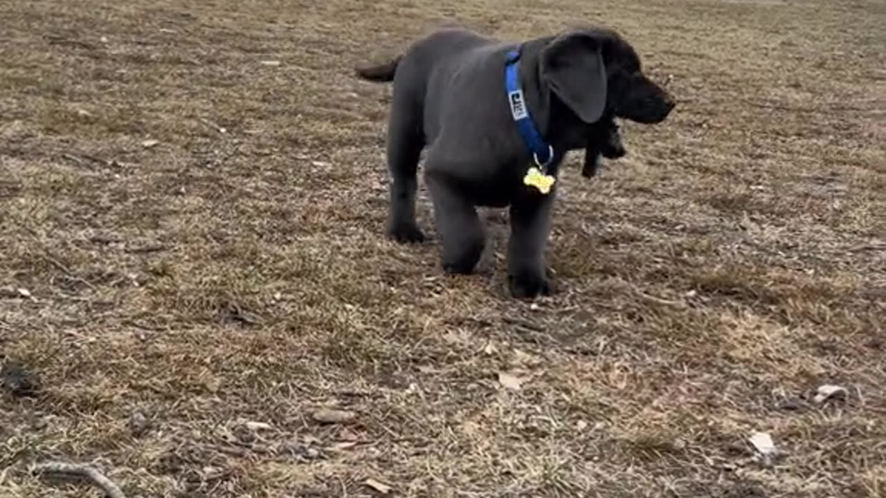 My first week at home!