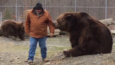 Kodiak bear grabs Jim back as he walks away...