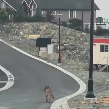 Good night fam. 😍😍😍 *NEWS INTERRUPTION*