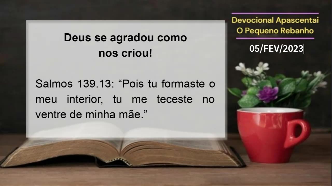 DEVOCIONAL - Deus se agradou como nos criou!