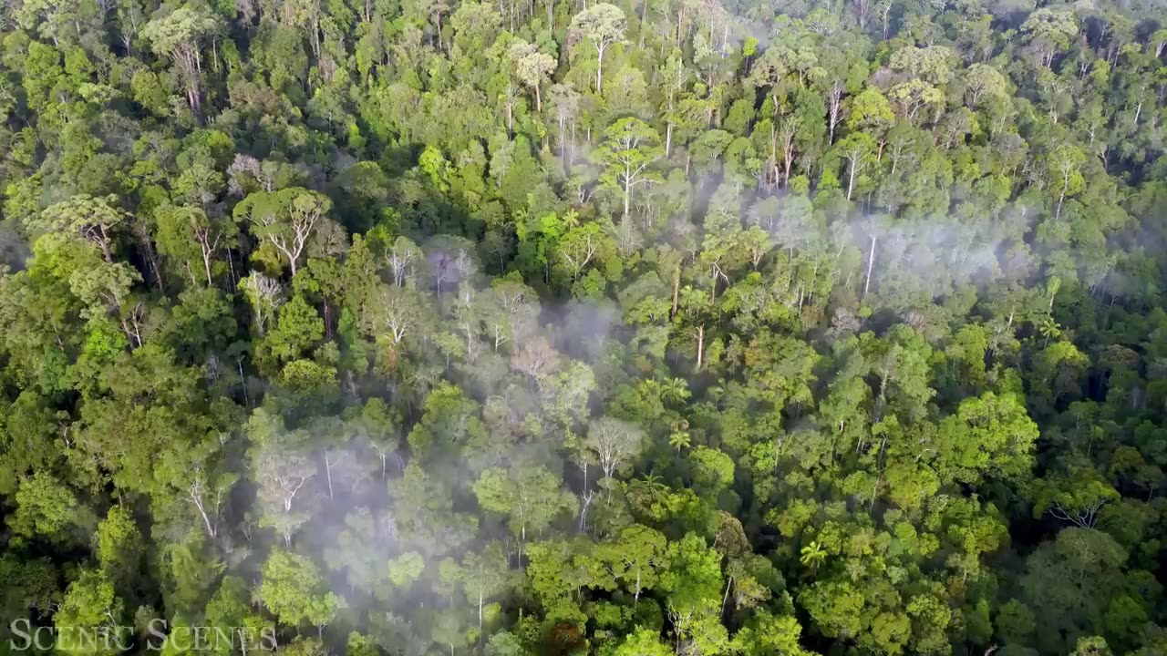 Malaysia in 4k.