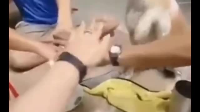 Put pants on a dog. I thought it was a man