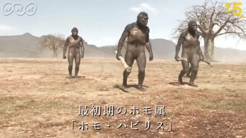 [人類誕生CG] 240万年前の人類のライバルはハイエナ！？ _ NHKスペシャル _ NHK