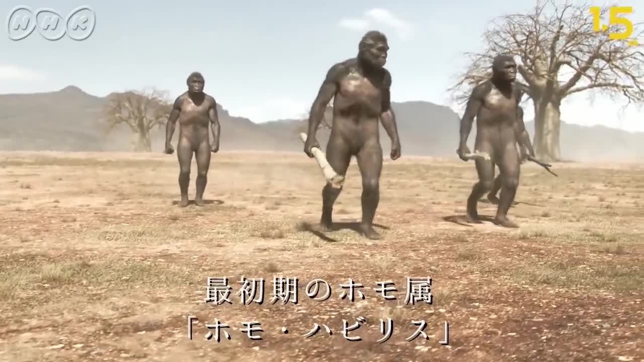 [人類誕生CG] 240万年前の人類のライバルはハイエナ！？ _ NHKスペシャル _ NHK