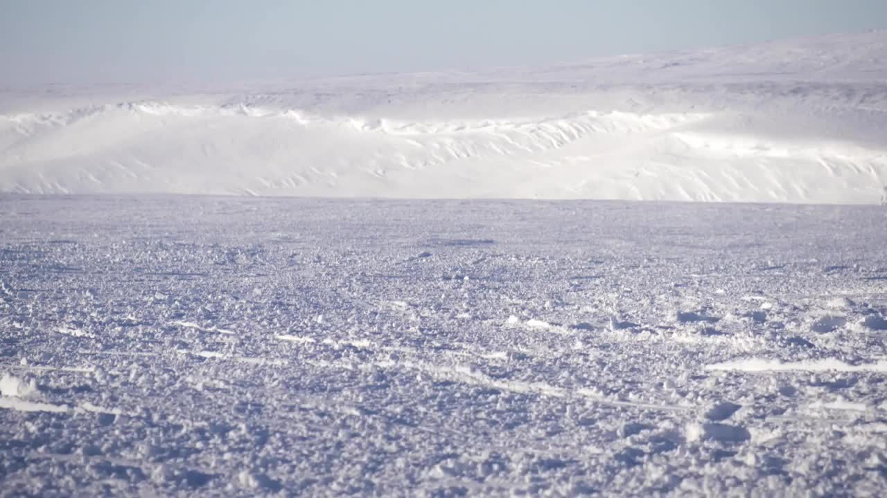 Diving in with the Canadian Forces | Daily Planet