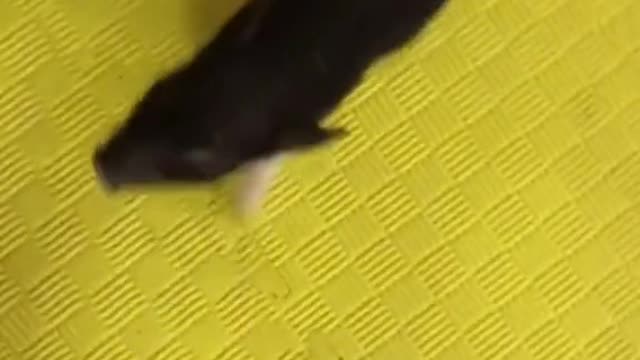 The ground is too slippery