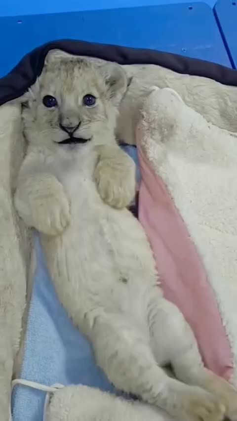 You look very tasty 🤣