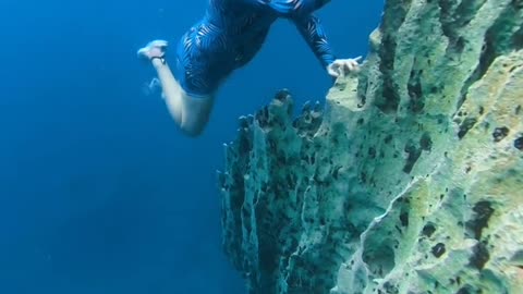 Underwater View Awesome