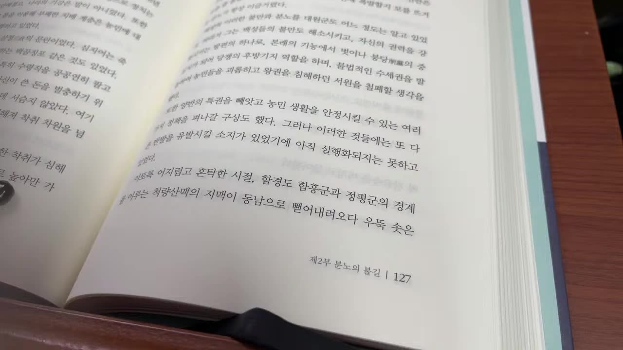 풍운의 태양인 소설 이제마,이철호,대원군, 천주교,포졸,성교,미국상선제너럴셔먼호,강화도,병인년,초주검,홍경래,전정,군정,환곡,군역세,척량산맥,황주,함흥,공주,은진,함평,부안, 진주