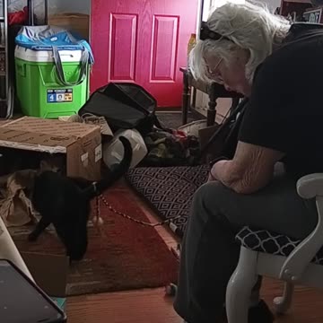 Momma playing with Finic