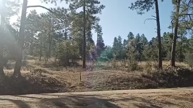 Prescott national forest, Arizona Thumb Butte Rd campsite review
