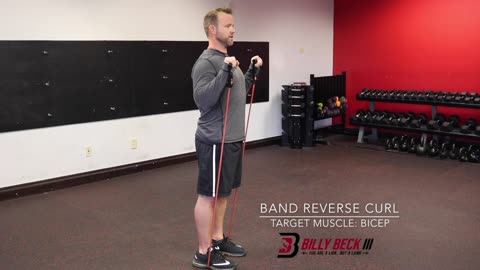 Band Reverse Curl