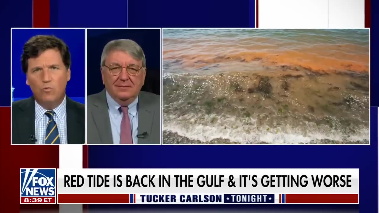 Ethnobotanist warns Tucker Carlson about the dangers of red tide in the Gulf