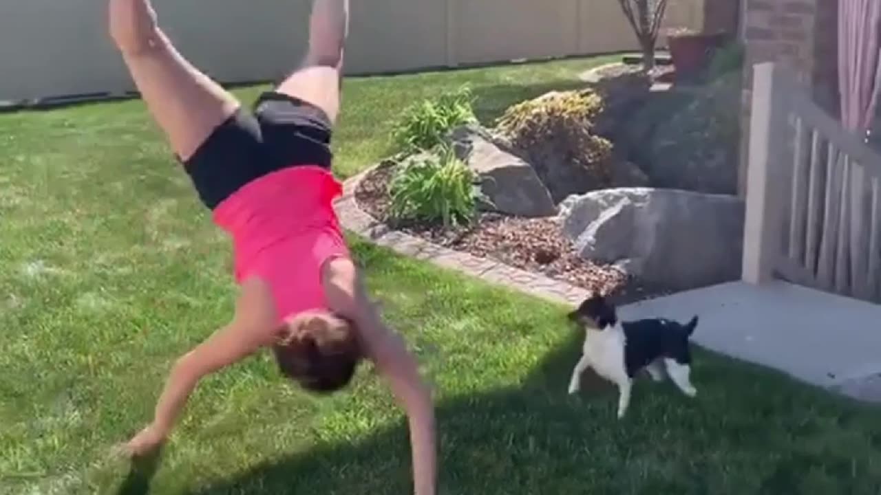 Girls and animals funny fails part 131. #funnyvideo #fail #funnyfails #dog #awesome #funnyfail