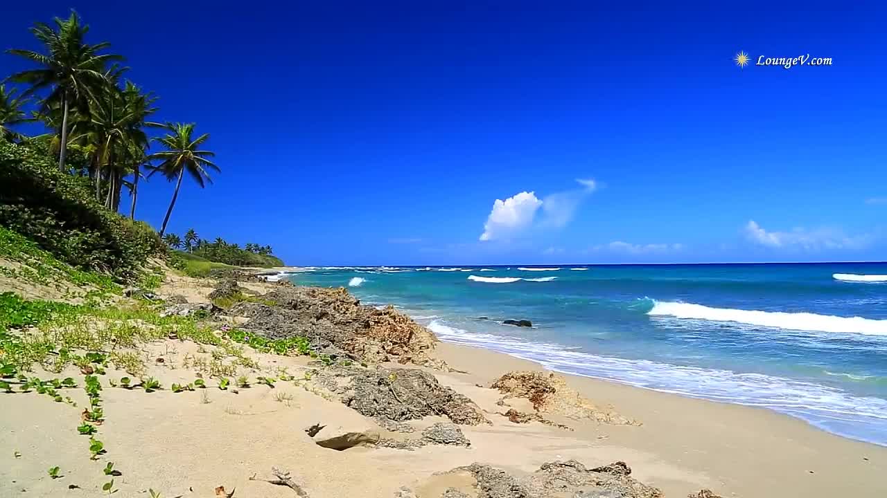 Video % with Beach Sounds - 4 Hour Long!