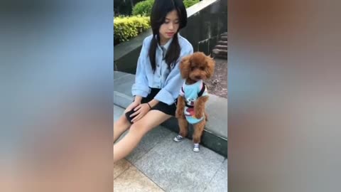 Doll and Dog training Videos with girl